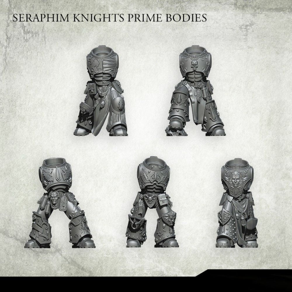 Seraphim Knights Prime Bodies